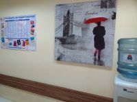 pic (11)